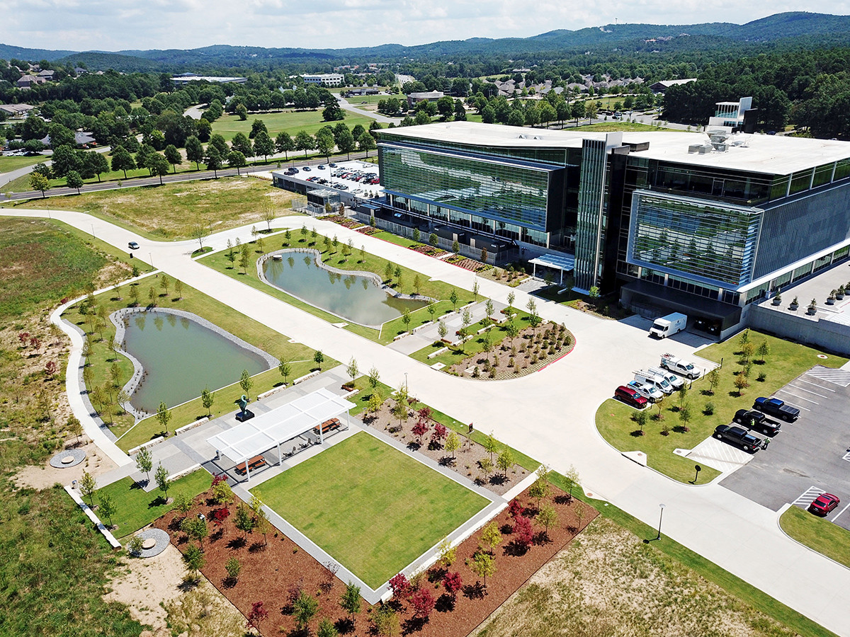 In the Garden of OZK 132408