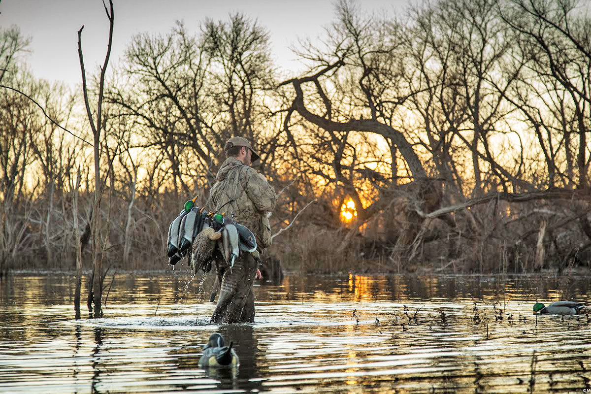 The high points of low water • Arkansas Game & Fish Commission