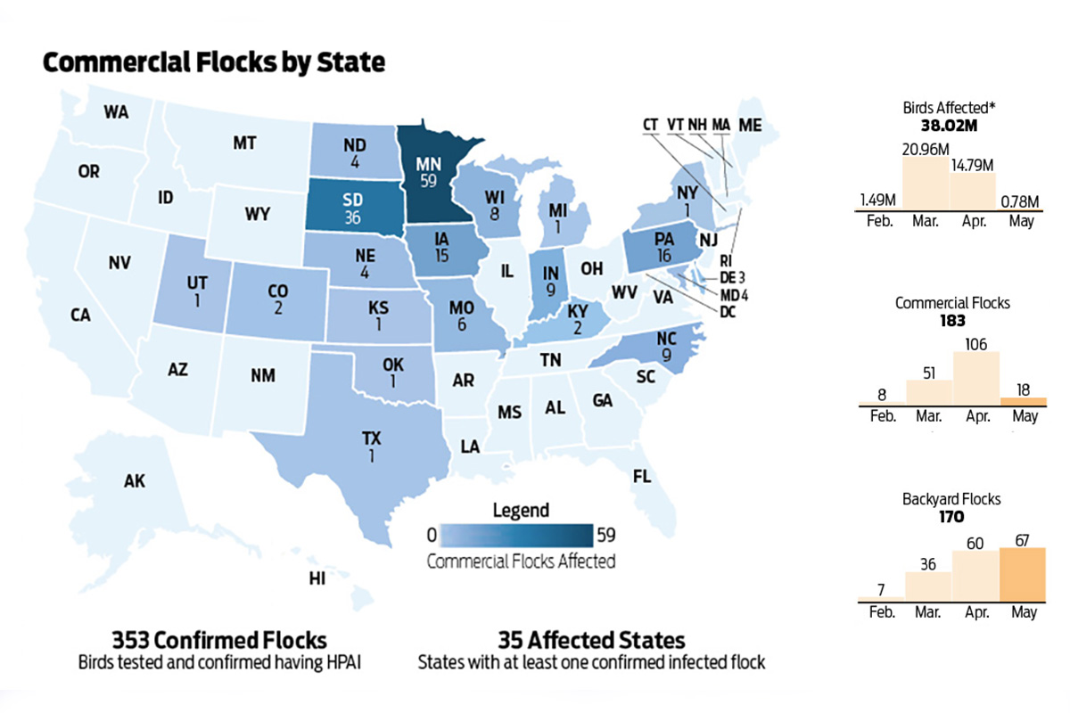Avian Flu Map