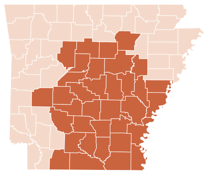 Arkansas Foodbank Faces 'The Great Compression' Says New CEO Brian Burton 142169